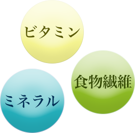 ビタミン ミネラル 食物繊維